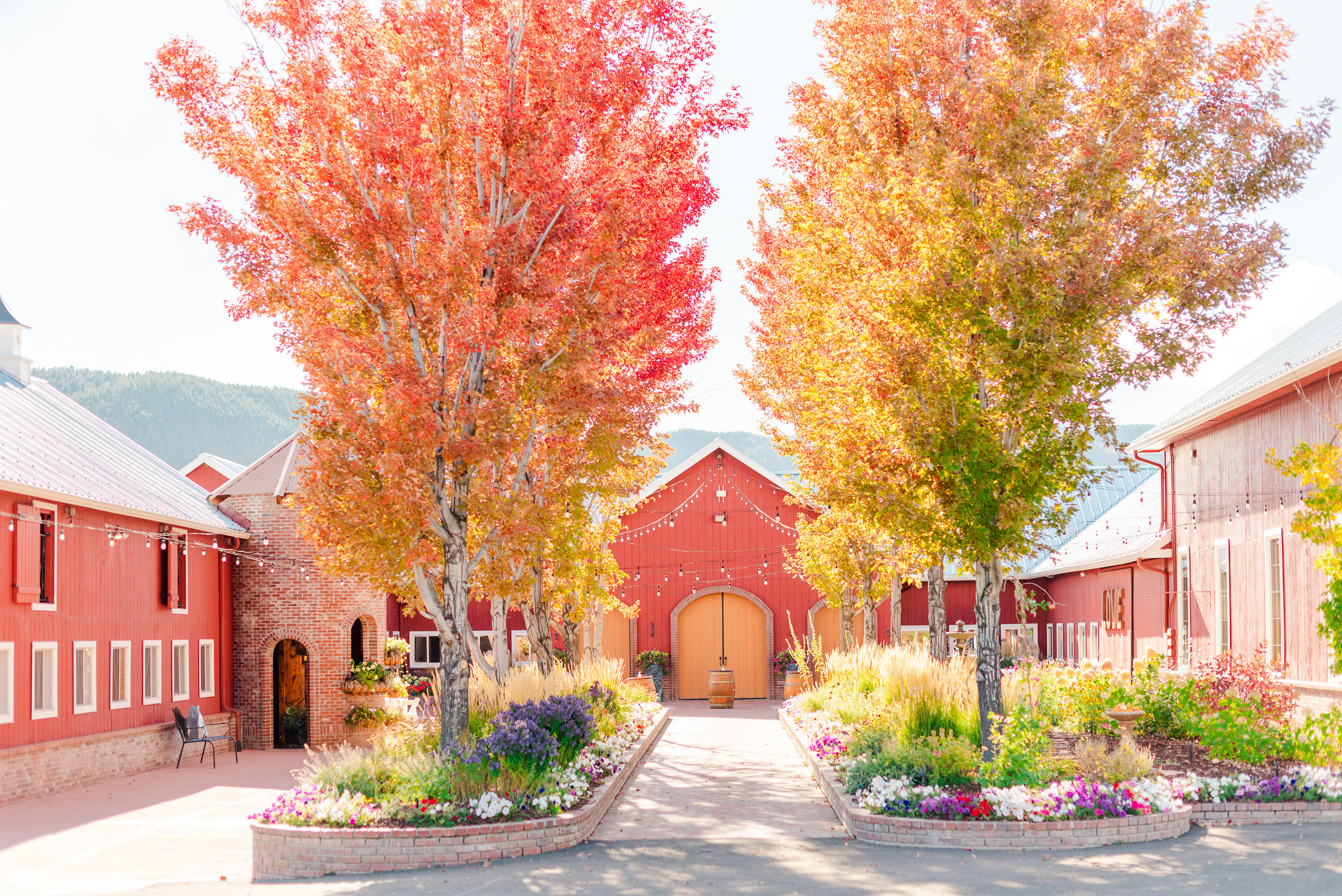 Wide shot of fall trees leading to a red barn wedding venue.